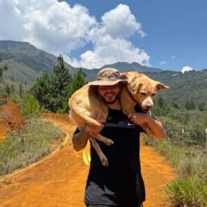 Joven cargando a su perro labrador después de una caminata, cuidando de sus pulpejos lesionados.