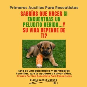 Imagen de campaña sobre primeros auxilios para perros y gatos con cachorro herido y mensaje para rescatistas