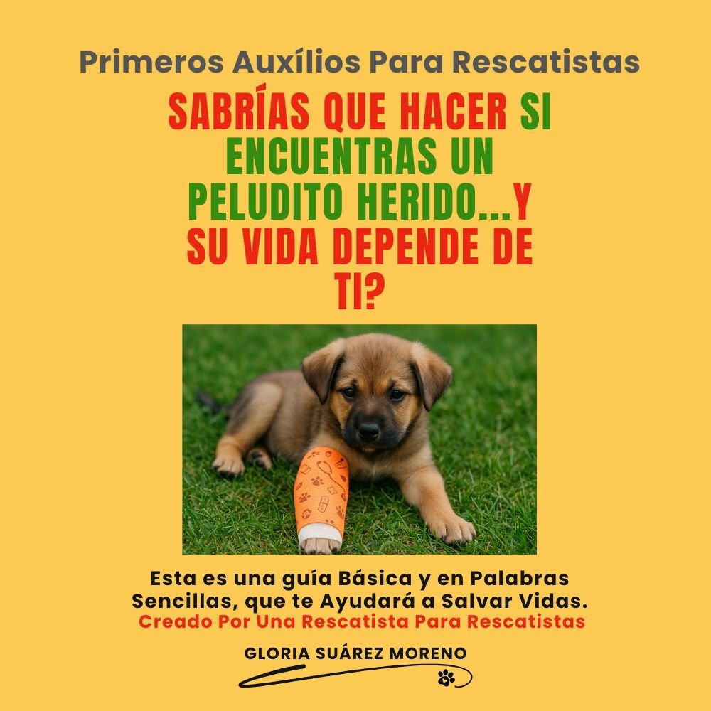 Imagen de campaña sobre primeros auxilios para perros y gatos con cachorro herido y mensaje para rescatistas