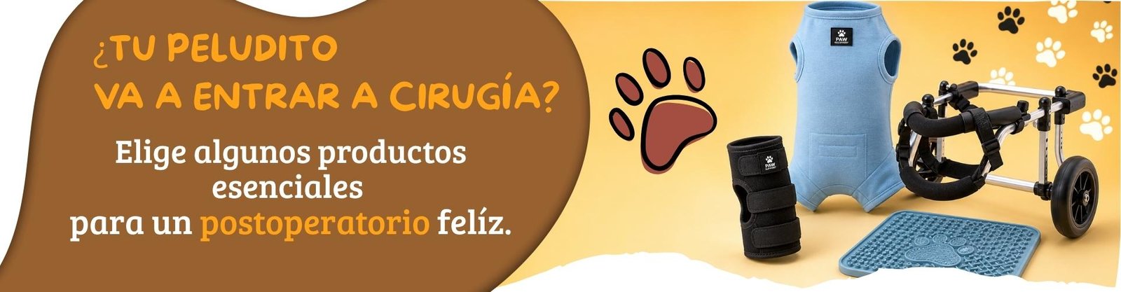 productos de fisioterapia silla de ruedas y chaleco postoperatorio para perros michicanonline